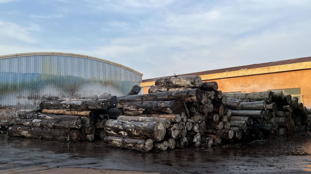 Dongguan Lingfeng Wood Industry Co., Ltd. ligne de production du fabricant