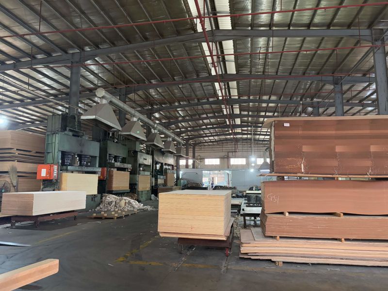 Dongguan Lingfeng Wood Industry Co., Ltd. ligne de production du fabricant
