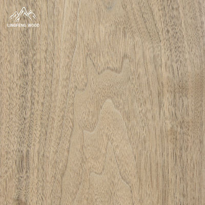 Coupe plate de bois de noyer américain 0,45 mm pour revêtement de murs